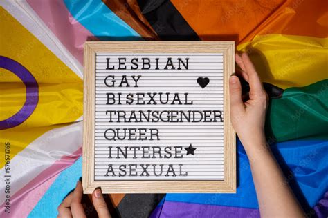 LGBTQIA Description Frame On Rainbow LGBTQIA Flag Made From Silk Material LESBIAN GAY
