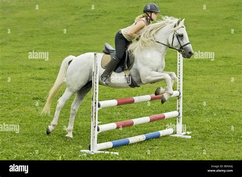 Connemara pony jumping hi-res stock photography and images - Alamy