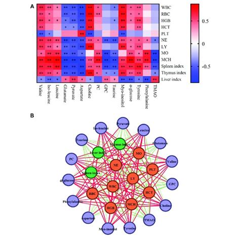 Correlation Analysis Of Differential Metabolites Blood Routine