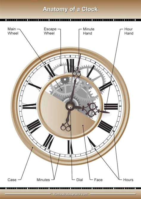 Parts Of A Clock Movement