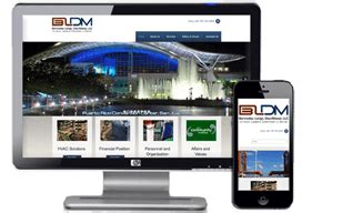 BLDM - Cyber Communications, Inc.