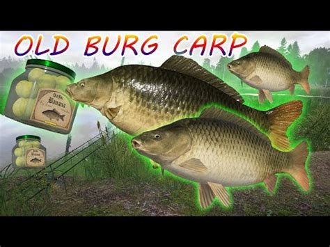 Russian Fishing Rf Old Burg Spot Common Carp Youtube