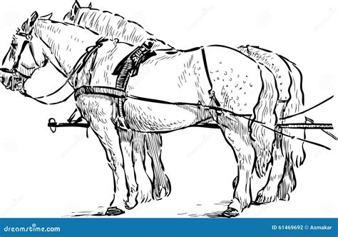 Horses In The Harness Stock Vector Illustration Of Drawing 61469692