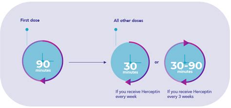 Herceptin Trastuzumab Treatment Schedule For Her Early Breast