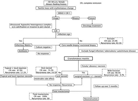 Proposed Algorithm Of Diagnosis And Management Of Granulomatous