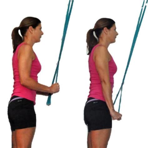 Triceps Pushdown By Gabrielle M Exercise How To Skimble