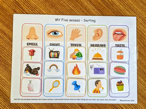 Five Senses Worksheet Busy Book Printable Preschool Learning Binder