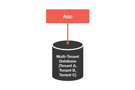 Saas Multi Tenant Par O Commencer Hidora