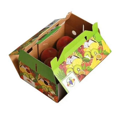 Single Wall Ply Printed Fruit Packaging Corrugated Box At Rs Piece