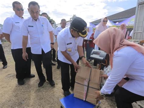 Dlh Pemerintah Kota Tangerang Melalui Dinas Lingkungan Hidup Kota