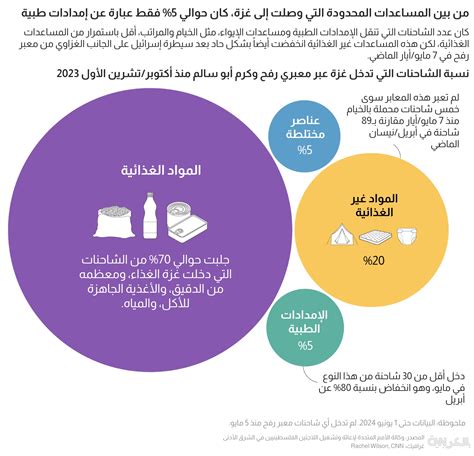 بعد ثمانية أشهر من الحرب إليكم ما تبدو عليه الأزمة الإنسانية في غزة