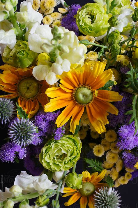 Colorful Mixed Flowers By Stocksy Contributor Kristin Duvall Stocksy