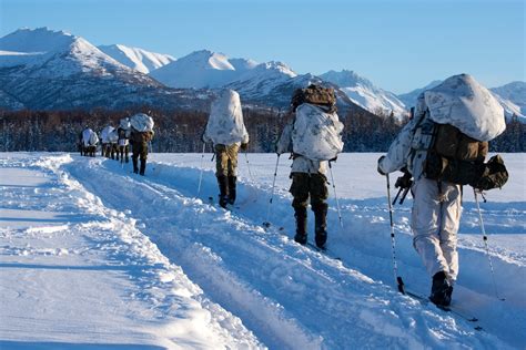 Dvids Images D Reconnaissance Battalion Marines Conduct Cold