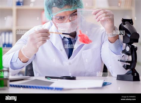 Forensics Investigator Working In Lab On Crime Evidence Stock Photo Alamy