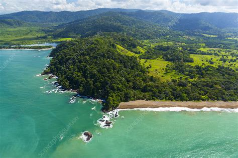 Corcovado National Park Tour Operators In Costa Rica