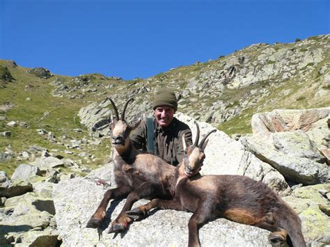 Pyrenean Chamois Hunts in Spain - Rupisalmo