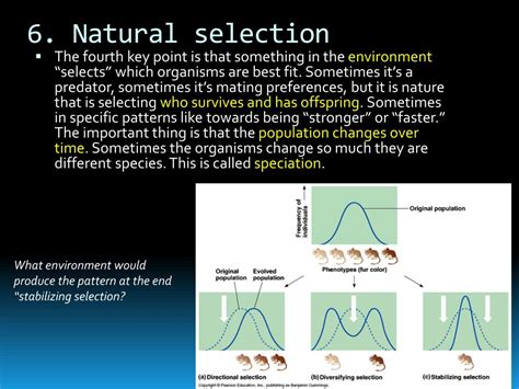 Ppt Natural Selection Powerpoint Presentation Free Download Id2739369