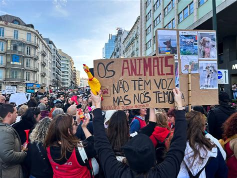 Direitos dos animais IRA não exclui luta durante Jornadas Mundiais da