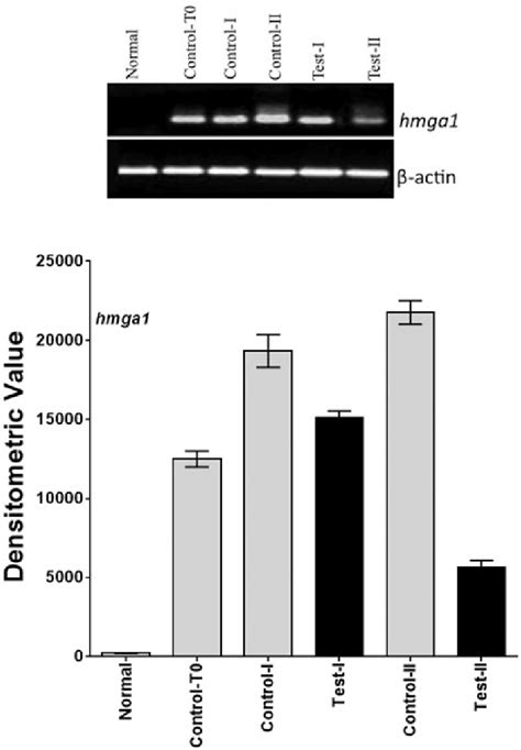 Reverse Transcriptase Pcr Analysis Of The Hmga Gene Expression After