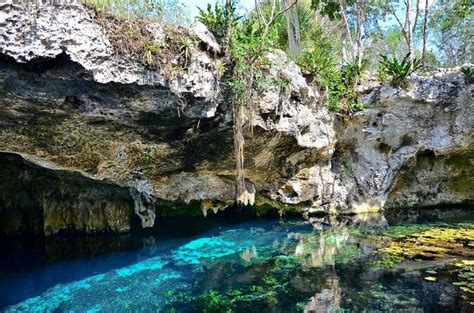 Best Guided Tours In Tulum