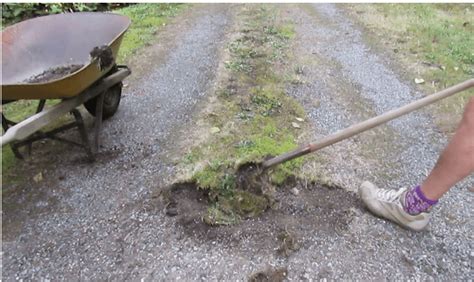 How To Fix A Gravel Driveway Overgrown With Grass Lawn Affection