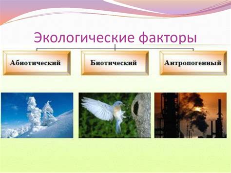 экологические факторы среды