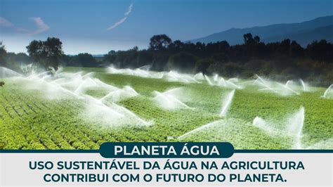 Uso Sustent Vel Da Gua Na Agricultura Contribui O Futuro Do