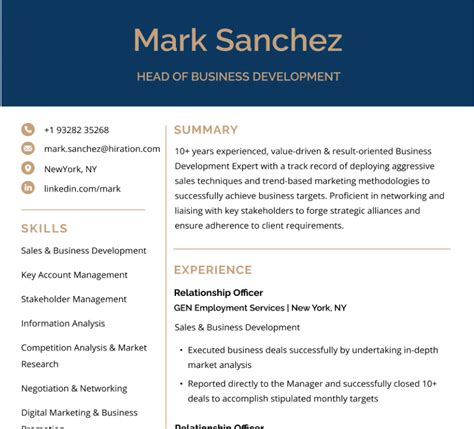 Free Head Of Business Development Resume Sample By Hiration