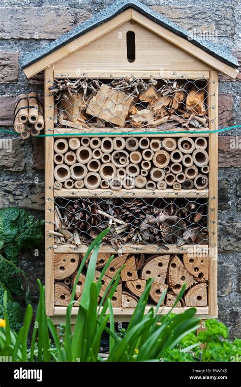 Insect Hotel Offering Nesting Facilities For Solitary Bees And Cavities