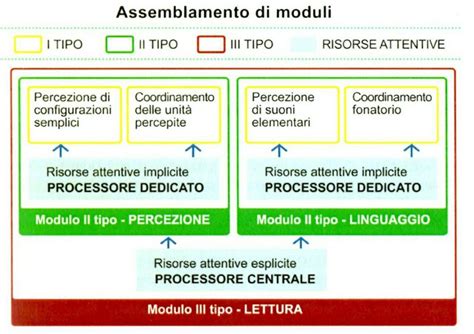 Funzioni Esecutive E Introduzione Ai Modelli Neuropsicomotricistait