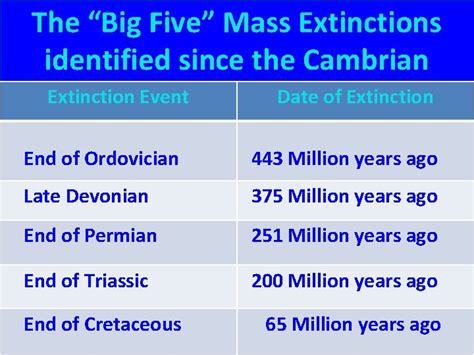 Mass Extinctions The Struggle For Life On Earth