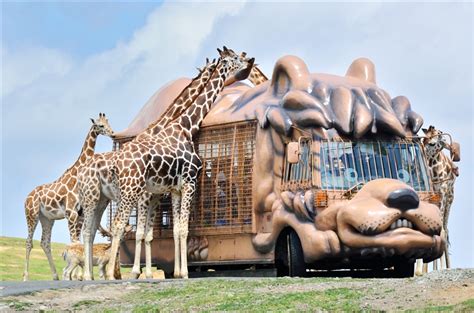 預購暑假九州旅遊 由布院之森 99島遊船 別府纜車 野生動物園含叢林巴士 長崎夜景五日 23JF803BR T 九州 雄獅旅遊