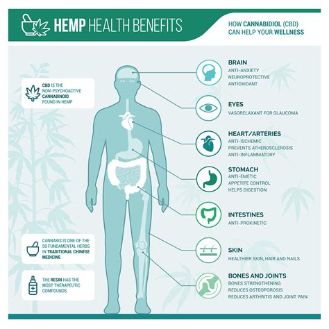 Medicinal Hemp Health Benefits Welcome To High End Group