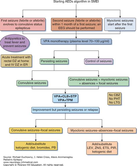 Severe Myoclonic Epilepsy Of Infancy Dravet Syndrome Neupsy Key