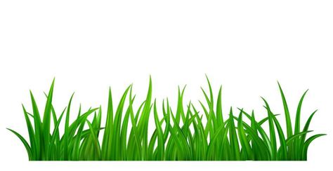 Grass Background Vector Art, Icons, and Graphics for Free Download