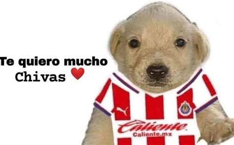 Liga Mx El Amor Al Reba O Regres A Las Redes Sociales Marca