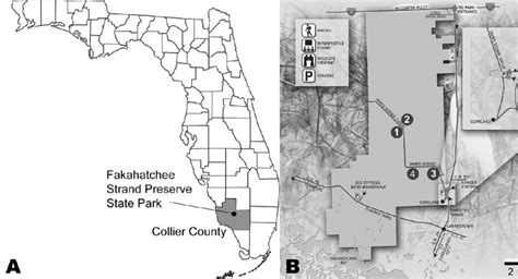 Map Of Collier County Florida - Maping Resources