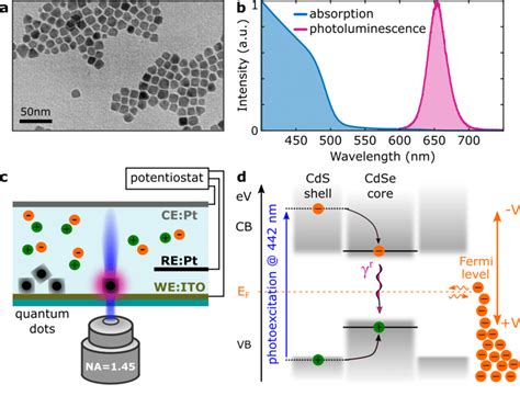 Colloidal Giant Shell Cdsecds Quantum Dots And Experimental Setup A