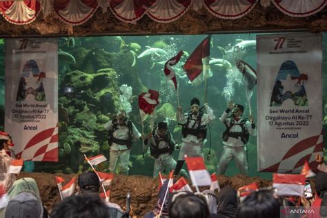 Pengibaran Bendera Merah Putih Di Sea World Antara News