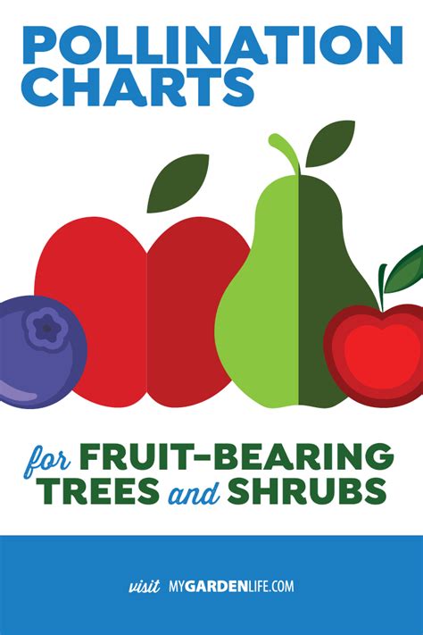 If You Have A Fruit Tree Or Shrub That Doesnt Produce Much Fruit Then