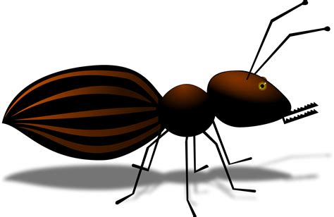 Ant Cartoon - ClipArt Best