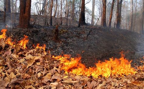 Clima finora il 2022 è lanno più caldo di sempre pioggia 45