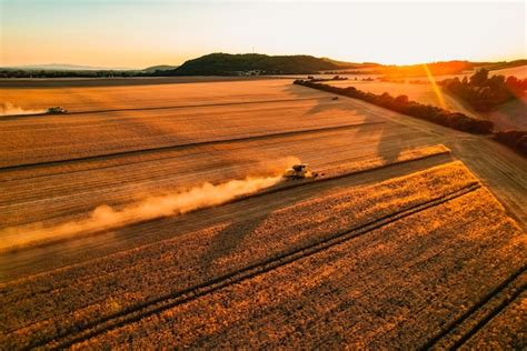 Cosechadora M Quina Agr Cola Cosecha Campo De Trigo Maduro Dorado La