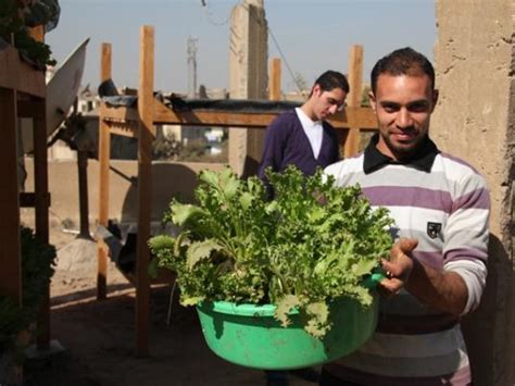 Green Prophet Hasnt Given Up On Egypt Green Prophet