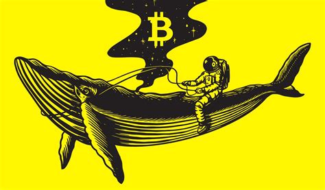 Bitcoin Whale Abruptly Moves Over In Btc Heres Where