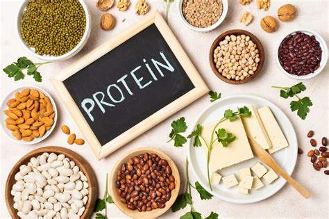 7 Best Plant Based Protein Sources For Better Health