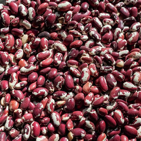 Anasazi Beans Square Photograph By Sharon Popek Fine Art America