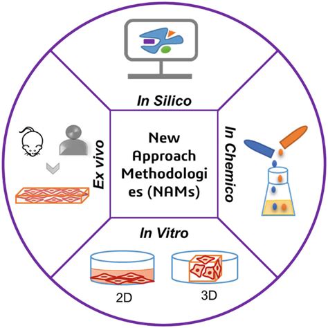 New Approach Methodologies NAMs Rethinking Preclinical Evaluation Of