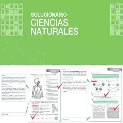 Libros De Ciencias Naturales Resueltos Mineduc Brenp