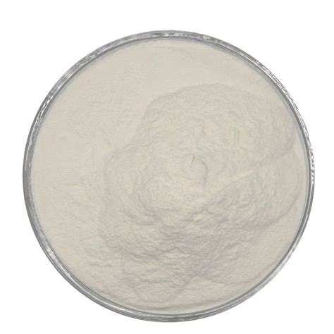 Supply Top Probiotics Food Grade Lactobacillus Rhamnosus Powder Buy